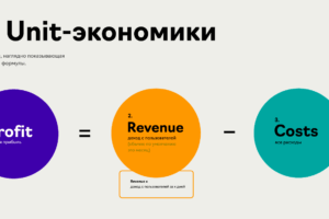 Osnovnye-komponenty-junit-ekonomiki